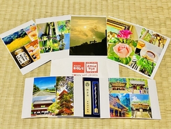 8月下旬から現...