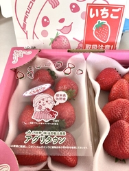アグリタウンの...