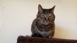 いつも久弥さん...