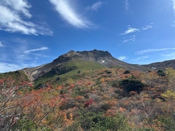 今年は青空のも...