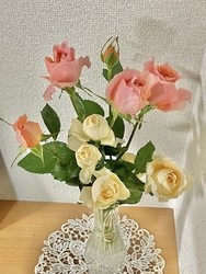 久しぶりに来た...