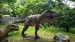 わんぱく公園の...