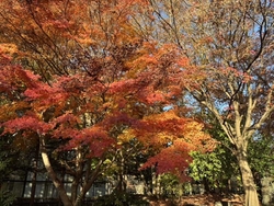 久しぶりにいき...