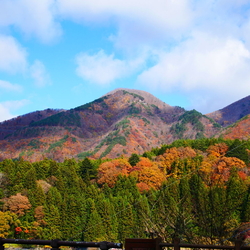 寒くて風が強い...