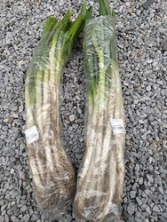 たくさん入った...