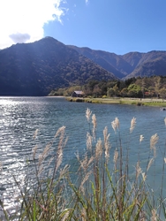 久しぶりに湯ノ...