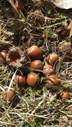 茂原クリーンセ...