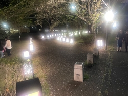 週末の夜、桜の...