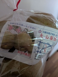 この季節がやっ...