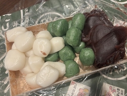 お花見に行った...