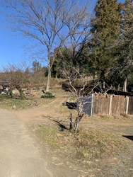山を切り開いた...
