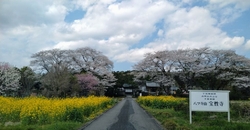 土曜午後参拝。...