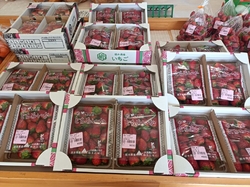 いちごがたくさ...