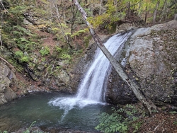 生まれて初めて...