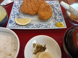 ランチにヒレ・...