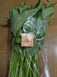野菜を買いにお...