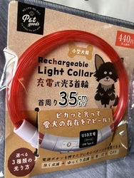 今日はザ・ビッ...