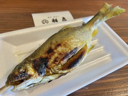 もう少しで鮎漁...