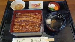 夏を乗り切ろ~...