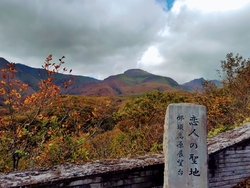 いつも通り過ぎ...