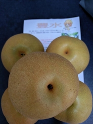 今シーズン初の...