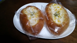 県立博物館の企...