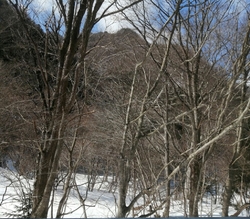 矢板⇔塩原⇔南...