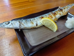 行ってきました...