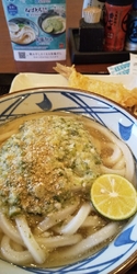 ねばとろの新し...