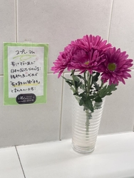 ベルモールさん...