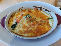 メタセコイア並...