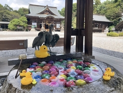 暑い日でしたが...