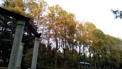 中央公園は、紅...