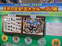 子どものお友達...