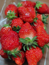 道の駅にのみや...