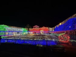 今年もイルミネ...