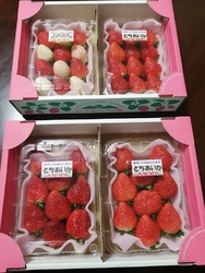 「今年もお世話...