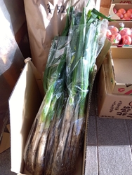 ちょっと久しぶ...