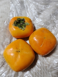 ペットボトルを...