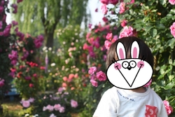 こちらもバラが...