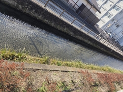 県庁掘は、とて...