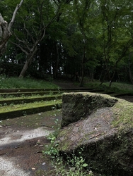昔行ったのを思...