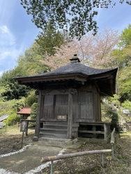 桜を見に行きま...