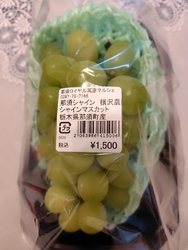 今年もこちらの...
