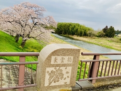 東雲橋の下の土...