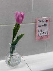 春のお彼岸シー...