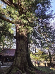 初めて立ち寄り...