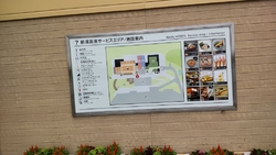 シルバーウィー...