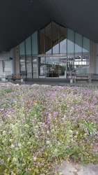 天平の丘を後に...