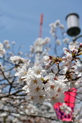 昨年の投稿です...